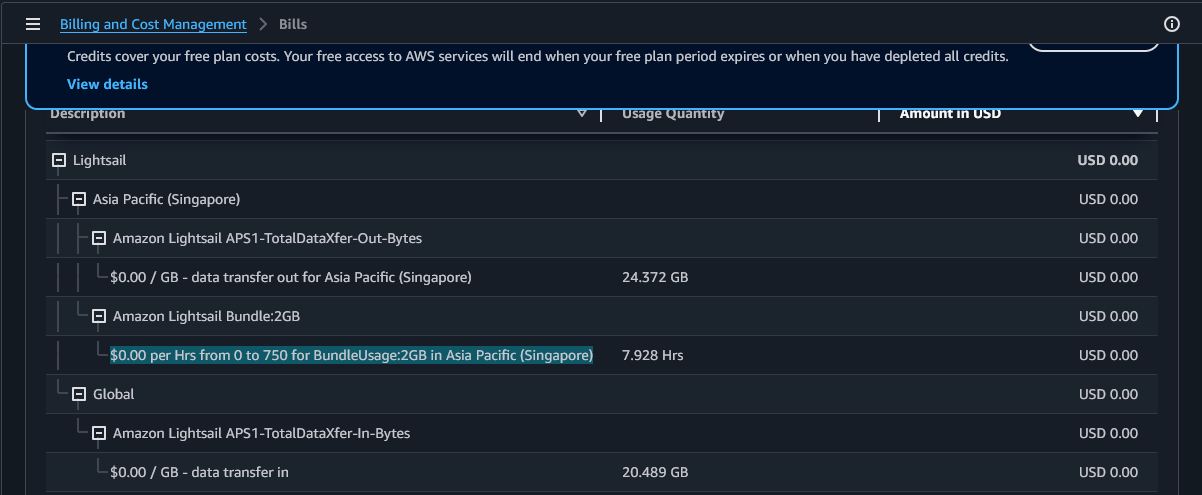 Lightsail resource line item showing the trial usage