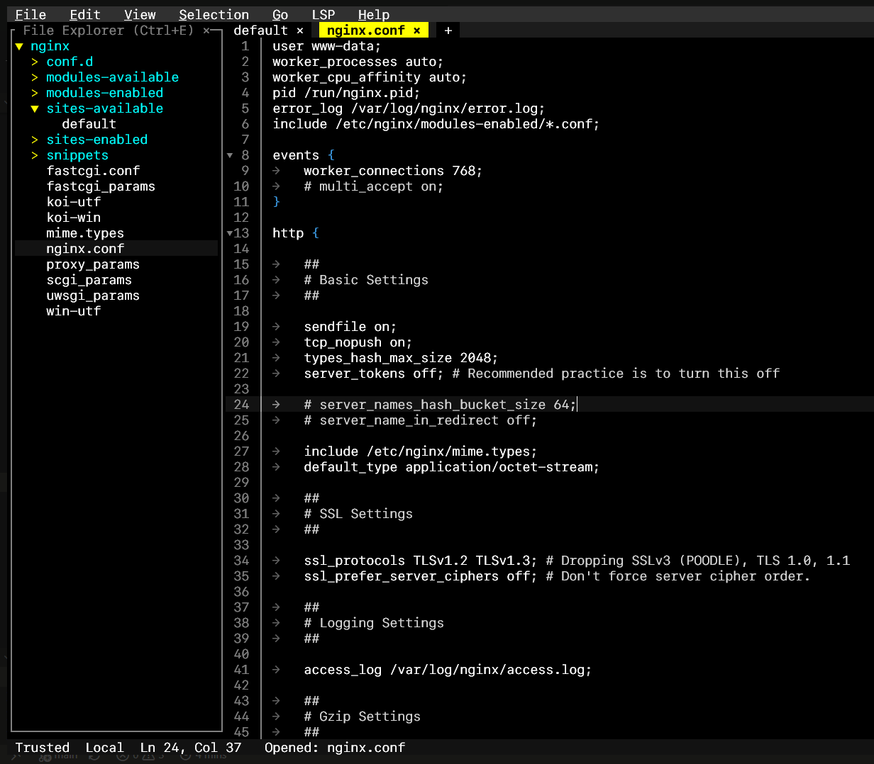 Nginx reverse-proxy configuration