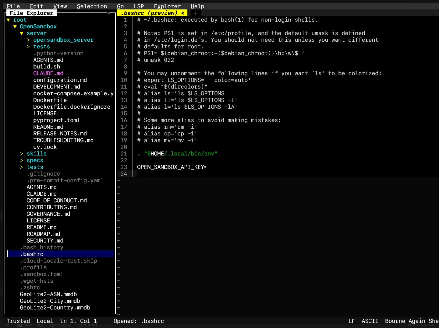 OpenSandbox API key configuration